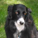 Bridget was adopted in October, 2003